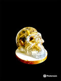 Pearl White Skull w/ Brass Casings