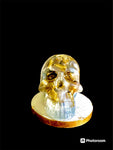 Pearl White Skull w/ Brass Casings